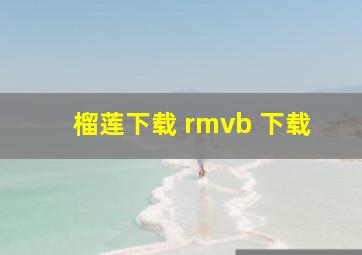 榴莲下载 rmvb 下载